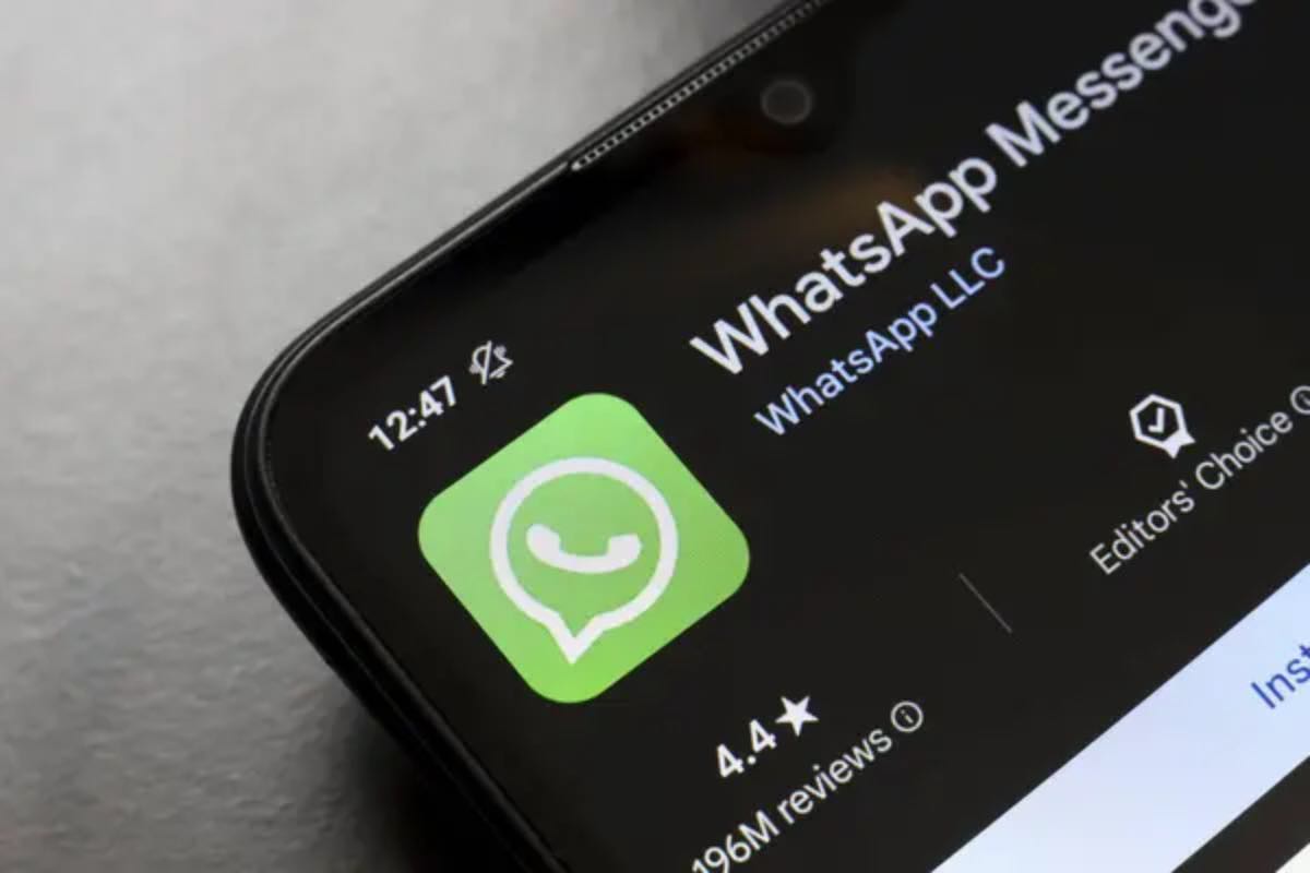 WhatsApp, arriva l’annuncio che temevano tutti | “Diventa a pagamento”: stabilito un canone mensile