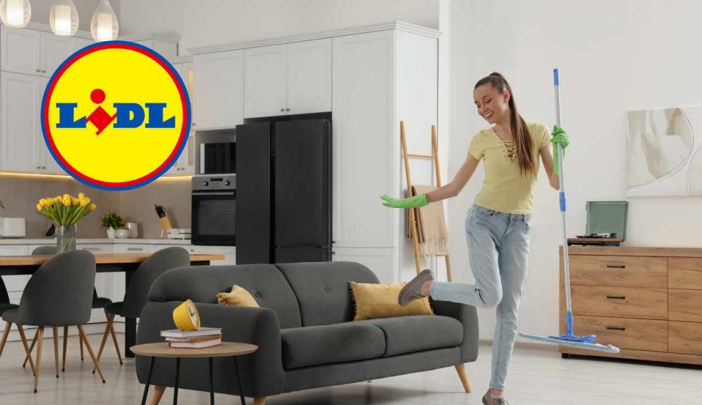 Donna contenta riordina casa LIDL